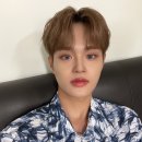 댕댕이 카페 이미지