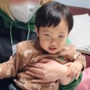 행꼬(행복한 꼬마 거북이) 이미지