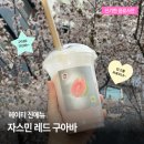 구아바랜드 | [이색 음료] 헤이티 강남점 :: 자스민 레드 구아바 솔직후기 (상큼한 과일티 신메뉴 리뷰, 내돈내산...