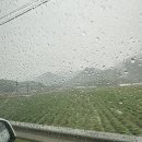 STX문경리조트 | 문경 STX 리조트 스파 워터파크 솔직 후기 가족여행 추천