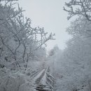 썬비치민박 이미지