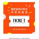 [영월] 사진스팟 많은 영월 핫플 미술관 “젊은달와이파크” 예약방법/주차장/후기