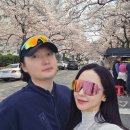 삼익 아파트 | 부산 벚꽃 피크닉 추천 광안리 삼익비치아파트 데이트 명소 후기