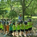 파주시유아숲체험원 이미지