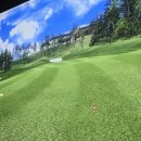 파인스크린골프 이미지