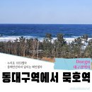 동대구에서 묵호역까지 | 누리로1853 열차타고 이동하기!(열차시간안내)