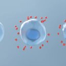 제이엠의원 이미지