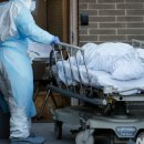 동원농장 이미지