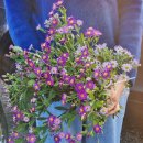 인복농장 이미지