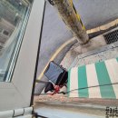 와프트커피 | [서대문/증산] 주택가에 여유로운 카페 와프트커피 후기