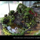 돌꽃향기 날리며 이미지