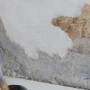 구봉마을5단지 이미지