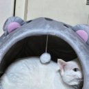 숨숨집 이미지