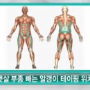 태와선 네이버블로그