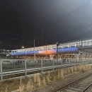 부산 일상 | 괴정역 우리 쌀 왕호두 | 광안리 티앤북스 만화카페 실내 데이트 추천