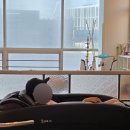 노리파크 | [서창 키즈카페] 아이들이 3시간도 모자라게 놀았던 노리파크 서창지구점 후기 💛🧡