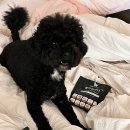 주식회사 국개대표 이미지