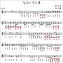 도레미비디오 이미지