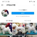 쇼펫 이미지