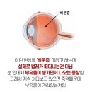 으뜸플러스안경원 이미지