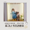포그니 | 감일 키즈카페 대관, 하남 키즈룸 포그니 키즈라운지 방문 후기