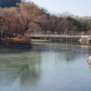 나무테크 이미지