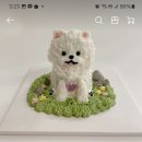 두몽언니 이미지