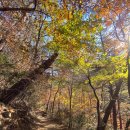 쌍용폭포민박 | [경상남도/하동] 식당 쌍용가든 (feat. 불일폭포, 국사암, 쌍계사 근처 맛집) (feat. tvN &#39;윤스테이...