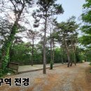숲속 - 동두천시 중앙로 308 | 숲속