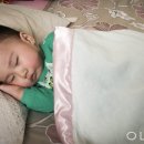 상원펜션 이미지