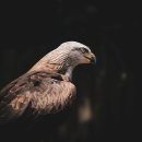 세븐일레븐 서귀포롯데호텔점 이미지