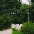 나무새 관광농원 이미지