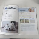 수원-1560 | 유치원으로 찾아오는 건강검진 '펫팅' 후기! ｜수원 영통 반려견 유치원 털로덮인친구들 광교본점