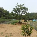 (주)환경관리연구소