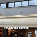 라스베가스 | 미국 여행 LA 라스베가스 스타벅스 후기 (가격, 팁, 이름) Feat. 파산 직전