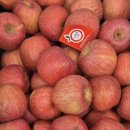 부광상회 이미지