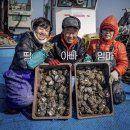 진도 아라 전복 이미지