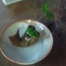 소이공방