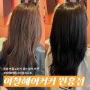이철헤어커커원흥역점 | 이철헤어커커 원흥역점, 밝은 모 톤 다운 염색 후기