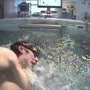 Swimming Tank에서의 수영자세 교정비디오. 이미지