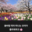 사계절파크여관 | 태안 튤립축제 2025 일정