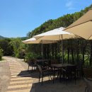 에덴의 정원 이미지