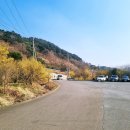 구례의길(남도이순신길) | 1000년의 산수유 시목지 이순신성과 남도 백의종군길 출발지