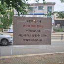 소혜진 강남제비 송탄직영점 | 소혜진 강남제비 송탄점 평택 수제비 맛집 가격 메뉴