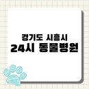 24시배곧스마트동물의료센터 | [전국 24시 동물병원 지도 #23] 경기도 시흥시 편 : 배곧·정왕·은계 응급 의료센터 정리