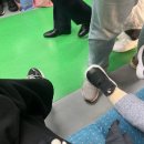 장미미용실건너 | [2월] 인생은 낡고 지친 피크민 같아요. 원래부터 많이 걸었는데 갑자기 더 많이 걸어야되게 된 삶