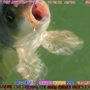 행운낚시터 이미지