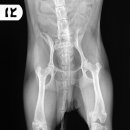 탕정동물의료센터 이미지