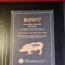 진주 초전동 맛집 오늘한점 화덕에서 초벌한 돼지고기를 철판에 구워먹을 수 있는 장소 리뷰