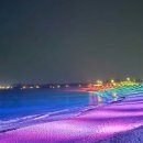 사계 해담은 이미지